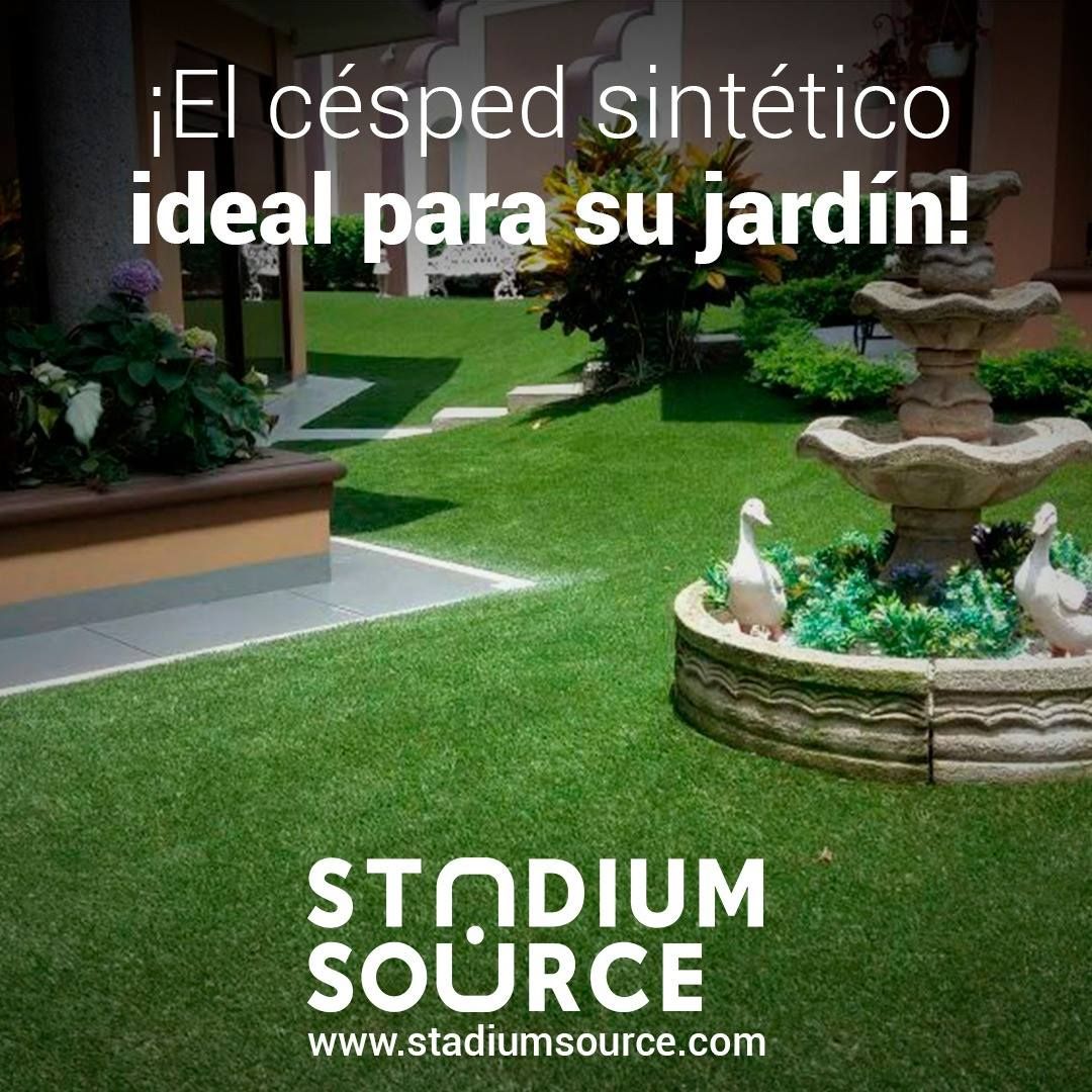 Odoo • Texto e imagen