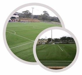 stadium source hummingbird belmopan belize