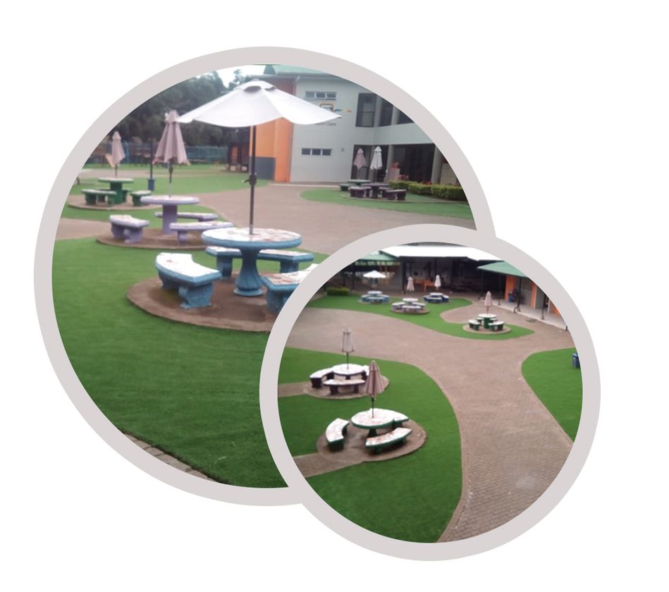 stadium source jardin colegio saint clare